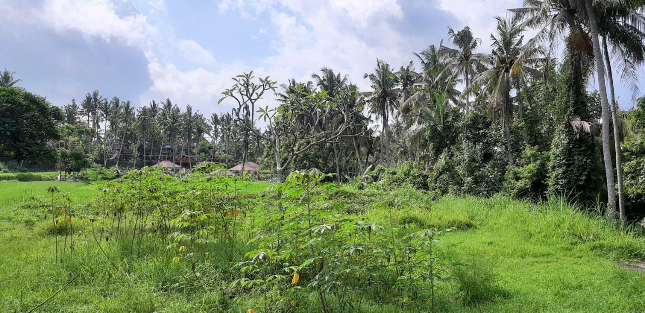 Pondok Tulasi Semaya House Payangan Eksteriør billede